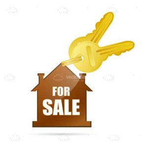 Home for sell icon